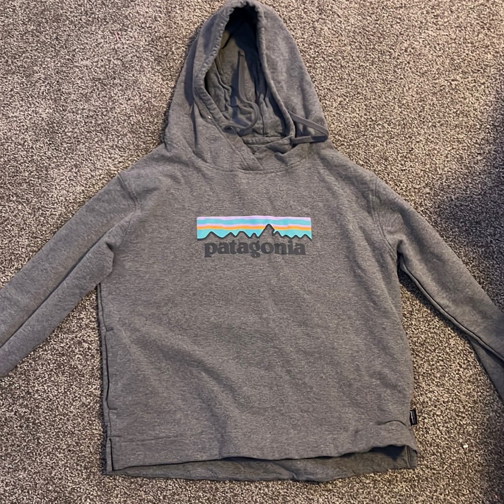 Grey Patagonia sweatshirt, barely used.